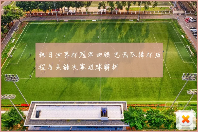 韩日世界杯冠军回顾 巴西队捧杯历程与关键决赛进球解析